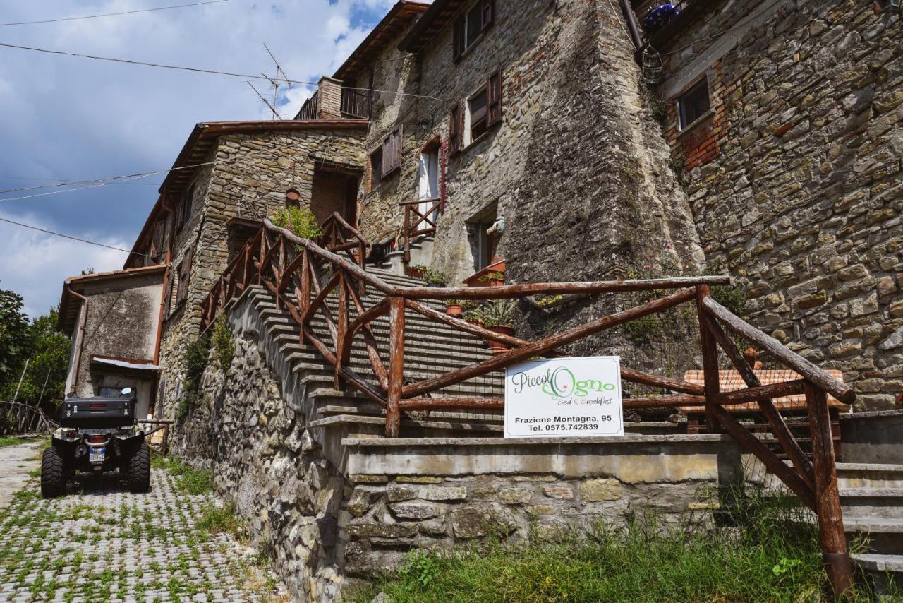 Piccolo Sogno B&B Sansepolcro Eksteriør bilde
